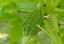 マラキーノック